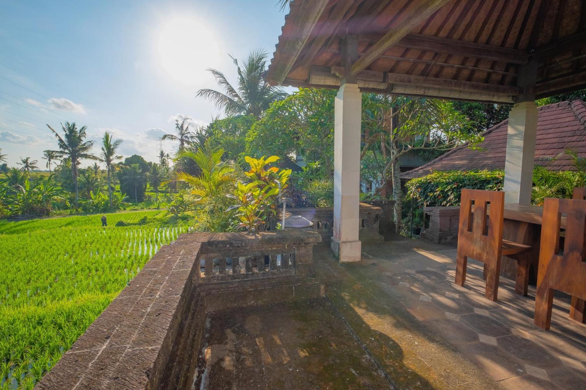 Puri Cili Villa Ubud Экстерьер фото